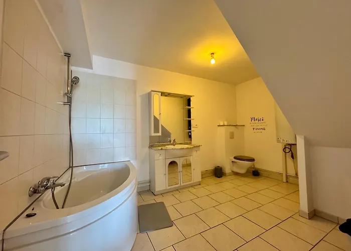 아파트 La Terrasse Vue Etangs, Babyfoot, Jeux De Societe By Bookingfute Socourt